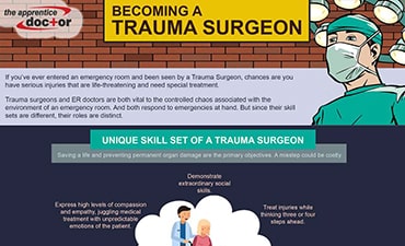 infographics 4